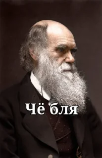 😂 emoji Darwinism🐒 @Ctikerubot Telegram sticker 12 of 30