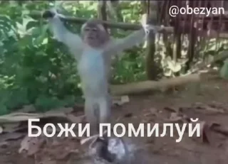 🌟 emoji русня хуйня🚬👀 Telegram sticker 6 of 50