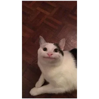 🏳️ emoji Абобусы Лэгаси Telegram sticker 24 of 24