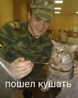 🥰 emoji Абобусы-Военлеты Telegram sticker 23 of 64