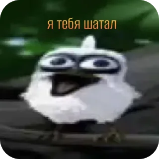 🚗 emoji ᬊ᭄▒༺𓆩  Птичканутые  𓆪༻▒ᬊ᭄ Telegram sticker 11 of 38