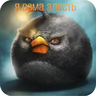 🐦 emoji ᬊ᭄▒༺𓆩  Птичканутые  𓆪༻▒ᬊ᭄ Telegram sticker 16 of 38