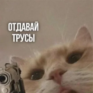 Sticker from Поел Грибов