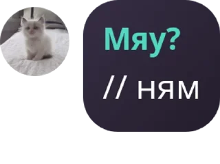 🚴‍♀️ emoji Флуд OWL HOUSE pack by @QuotLyBot Telegram sticker 20 of 120