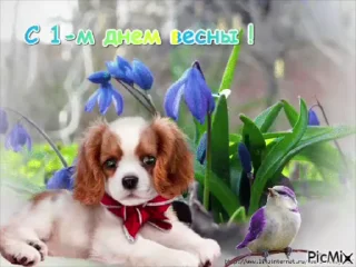 🌟 emoji просто добрые собачки:3 Telegram sticker 9 of 31