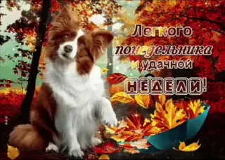 🌟 emoji просто добрые собачки:3 Telegram sticker 18 of 31
