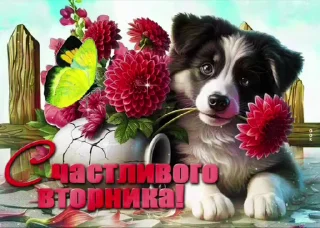 🌟 emoji просто добрые собачки:3 Telegram sticker 19 of 31