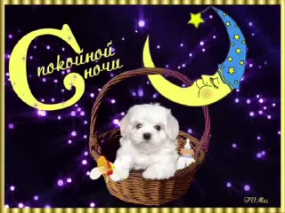 🌟 emoji просто добрые собачки:3 Telegram sticker 2 of 31