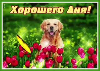 🌟 emoji просто добрые собачки:3 Telegram sticker 3 of 31