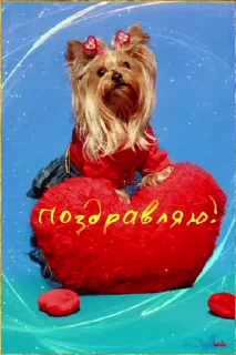 🌟 emoji просто добрые собачки:3 Telegram sticker 15 of 31
