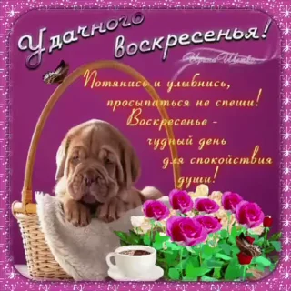 🌟 emoji просто добрые собачки:3 Telegram sticker 24 of 31
