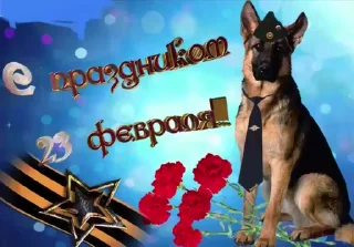 🌟 emoji просто добрые собачки:3 Telegram sticker 17 of 31