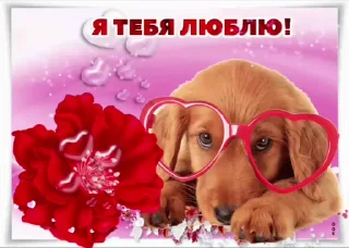 🌟 emoji просто добрые собачки:3 Telegram sticker 6 of 31