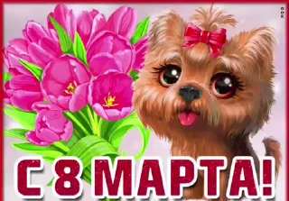 🌟 emoji просто добрые собачки:3 Telegram sticker 16 of 31
