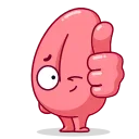 Sticker from Human Organs