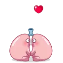 Sticker from Human Organs