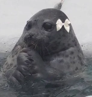 Sticker from seals
