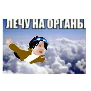 🥽 emoji крылышки @karten_art Telegram sticker 10 of 120