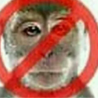 Sticker from Monke Time 🙉 by @wostickers