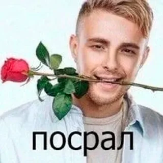 🌹 emoji Больше стикеров 👉🏻 @stickertg4 Telegram sticker 3 of 85