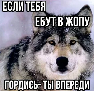 🐺 emoji Больше стикеров 👉🏻 @stickertg4 Telegram sticker 11 of 85