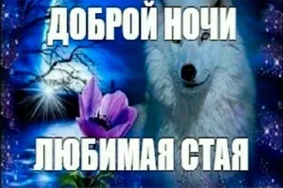 🐺 emoji Больше стикеров 👉🏻 @stickertg4 Telegram sticker 5 of 85