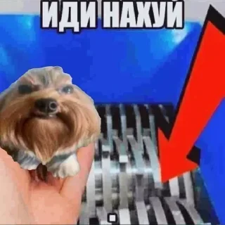 🖕 emoji Хуй бобра Telegram sticker 2 of 9