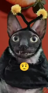 🌟 emoji словил зазу Telegram sticker 24 of 120