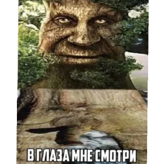 Sticker from Мудрый пак