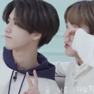Sticker from binnie&han |@skzstickersss