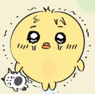 Sticker from SKZOO won a court!!!