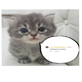 Sticker from фанклуб некиты натурала (рини и анчк)