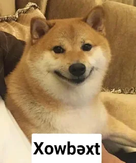 🙂 emoji @Xeyal41 @DTOUserBot Paketi 1 Telegram sticker 21 of 76