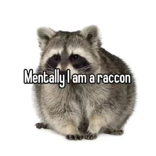 Sticker from raccoons