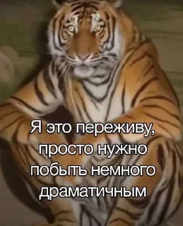 🌟 emoji разрыв фляги Telegram sticker 16 of 67