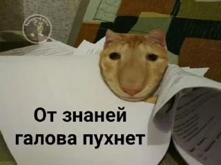🌟 emoji разрыв фляги Telegram sticker 19 of 67