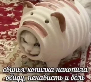 🌟 emoji Котики+мемы=милота Telegram sticker 21 of 120
