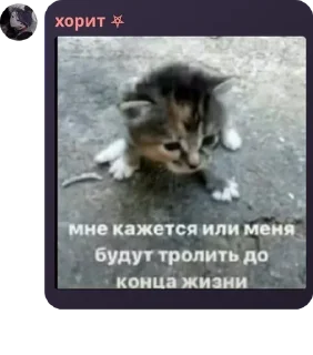 ♌ emoji анасеки🍍🤟🏿🍍🤟🏿🍍🤟🏿🍍🤟� pack by @QuotLyBot Telegram sticker 18 of 120