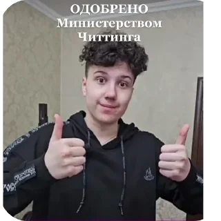 👍 emoji ВЕЛИКИЙ САНЯ ЧИТТИНГ by @stqrapp Telegram sticker 5 of 22