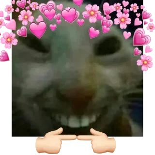 Sticker from this cat