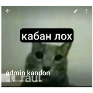 Sticker from Нормальные люди и серафим