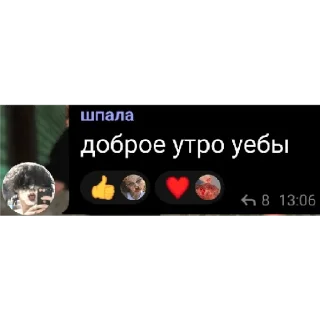 Sticker from ебаные стикеры🥰