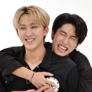 🤗 emoji HAN JISUNG STRAY KIDS Telegram sticker 2 of 62