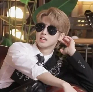 😎 emoji HAN JISUNG STRAY KIDS Telegram sticker 24 of 62