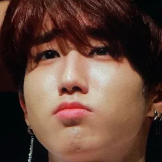😞 emoji HAN JISUNG STRAY KIDS Telegram sticker 8 of 62