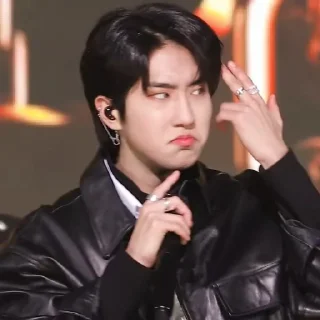 😒 emoji HAN JISUNG STRAY KIDS Telegram sticker 23 of 62