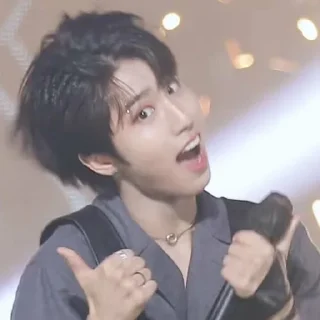 👍 emoji HAN JISUNG STRAY KIDS Telegram sticker 6 of 62