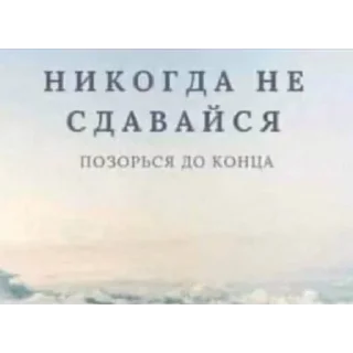😎 emoji Кот Ромэо//1 годик Telegram sticker 7 of 120