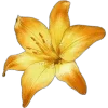 🌼 emoji SiriusBs by @l1xxen Telegram sticker 24 of 24