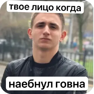 🫥 emoji ЛИТВИН @MoiStikiBot Telegram sticker 6 of 14